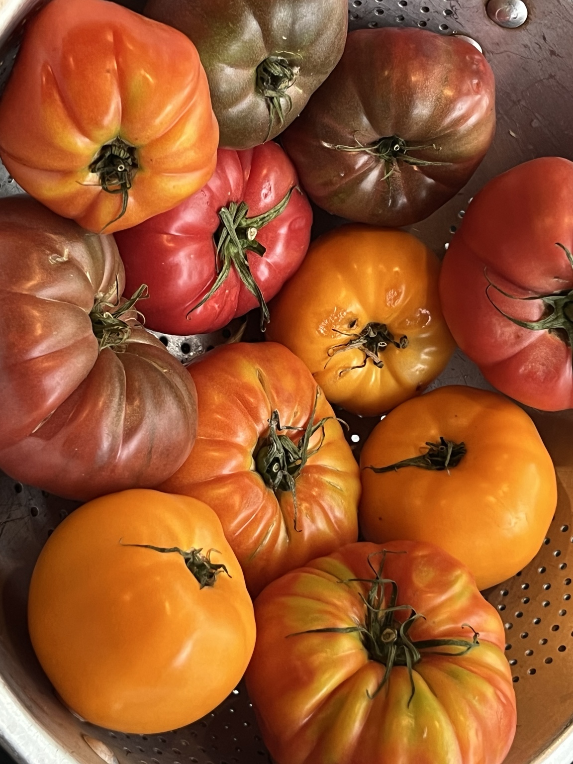 Close-up of red, orange and yellow heirloom tomatoes in a colander